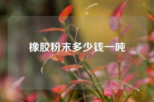 橡胶粉末多少钱一吨