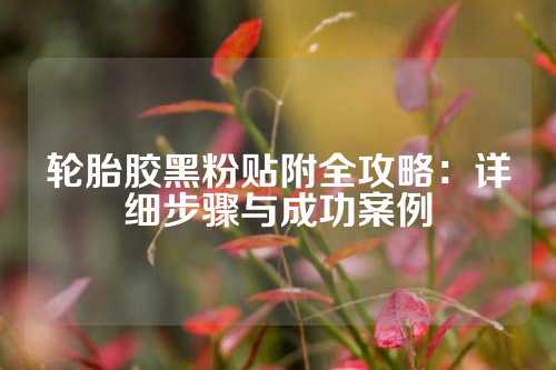 轮胎胶黑粉贴附全攻略：详细步骤与成功案例