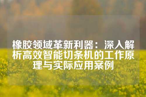 橡胶领域革新利器：深入解析高效智能切条机的工作原理与实际应用案例
