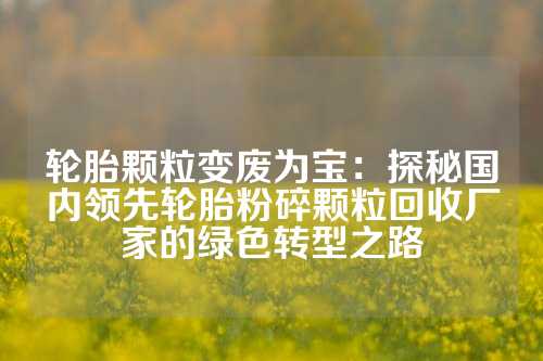 轮胎颗粒变废为宝：探秘国内领先轮胎粉碎颗粒回收厂家的绿色转型之路
