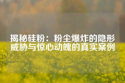揭秘硅粉：粉尘爆炸的隐形威胁与惊心动魄的真实案例
