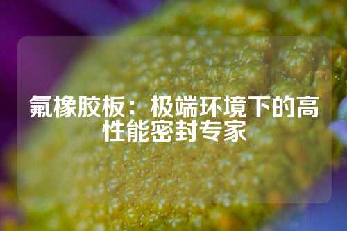氟橡胶板：极端环境下的高性能密封专家