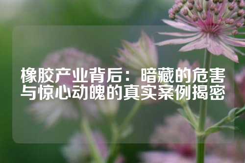 橡胶产业背后：暗藏的危害与惊心动魄的真实案例揭密