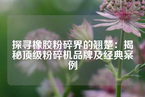 探寻橡胶粉碎界的翘楚：揭秘顶级粉碎机品牌及经典案例