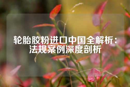 轮胎胶粉进口中国全解析：法规案例深度剖析