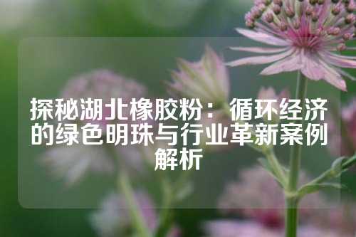 探秘湖北橡胶粉：循环经济的绿色明珠与行业革新案例解析