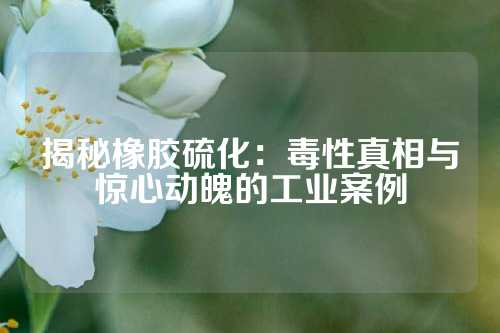 揭秘橡胶硫化：毒性真相与惊心动魄的工业案例