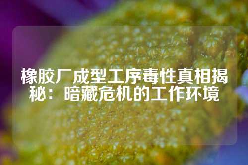 橡胶厂成型工序毒性真相揭秘：暗藏危机的工作环境