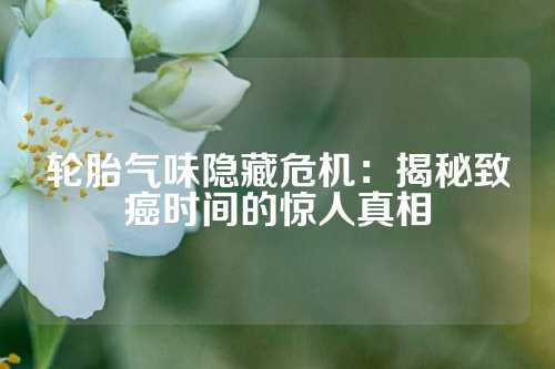 轮胎气味隐藏危机：揭秘致癌时间的惊人真相