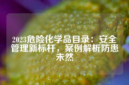2023危险化学品目录：安全管理新标杆，案例解析防患未然