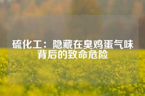 硫化工：隐藏在臭鸡蛋气味背后的致命危险
