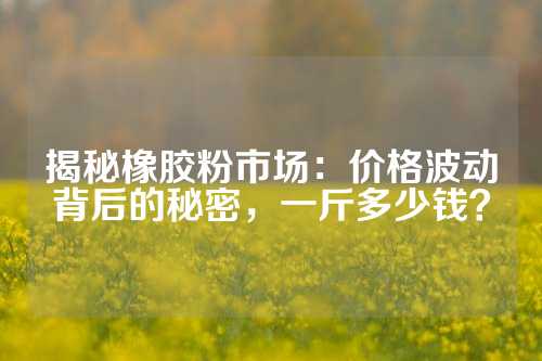 揭秘橡胶粉市场：价格波动背后的秘密，一斤多少钱？