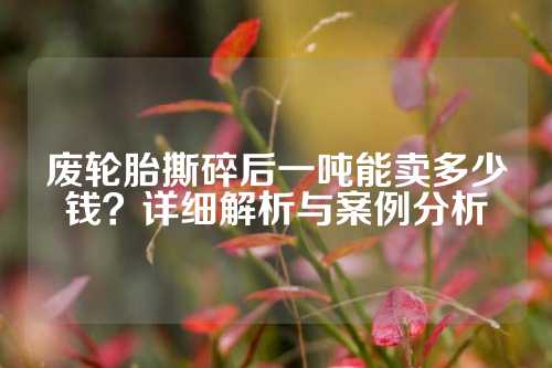 废轮胎撕碎后一吨能卖多少钱？详细解析与案例分析