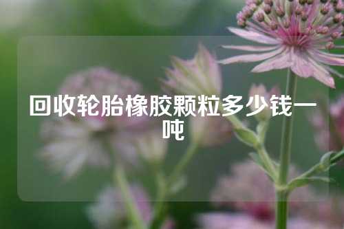 回收轮胎橡胶颗粒多少钱一吨