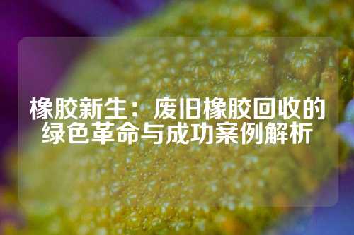 橡胶新生：废旧橡胶回收的绿色革命与成功案例解析
