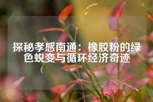 探秘孝感南通：橡胶粉的绿色蜕变与循环经济奇迹
