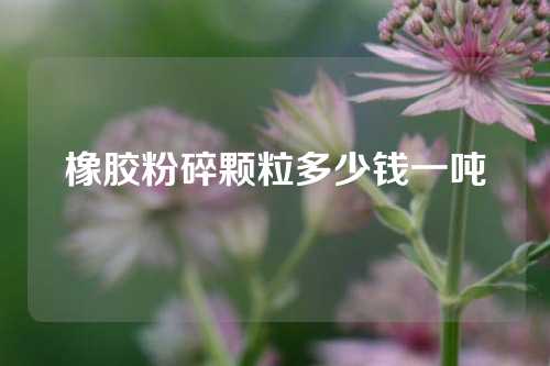 橡胶粉碎颗粒多少钱一吨