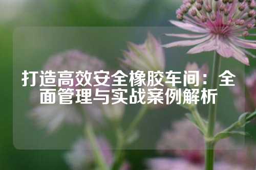 打造高效安全橡胶车间：全面管理与实战案例解析