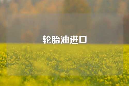 轮胎油进口