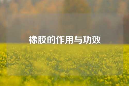 橡胶的作用与功效