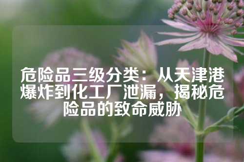 危险品三级分类：从天津港爆炸到化工厂泄漏，揭秘危险品的致命威胁