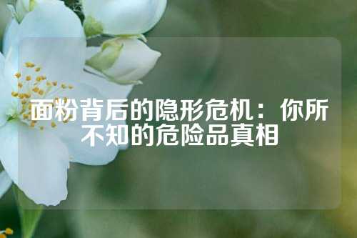面粉背后的隐形危机：你所不知的危险品真相