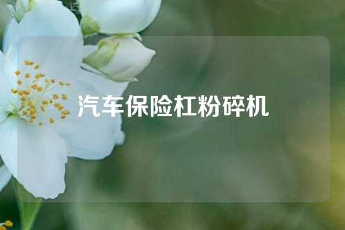 汽车保险杠粉碎机