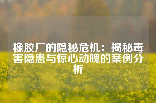 橡胶厂的隐秘危机：揭秘毒害隐患与惊心动魄的案例分析