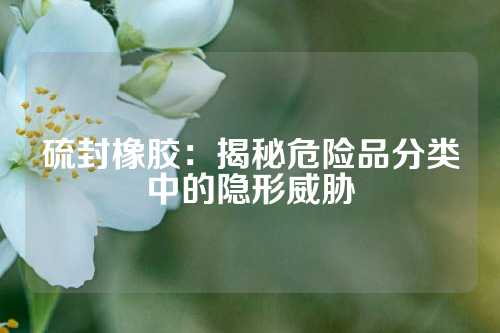 硫封橡胶：揭秘危险品分类中的隐形威胁