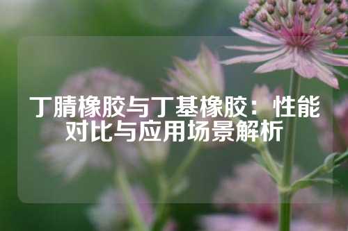 丁腈橡胶与丁基橡胶：性能对比与应用场景解析