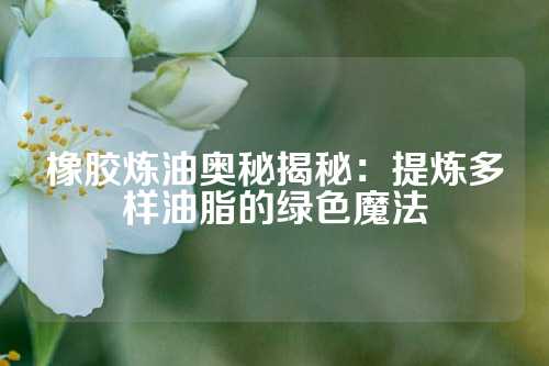 橡胶炼油奥秘揭秘：提炼多样油脂的绿色魔法