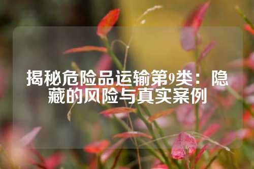 揭秘危险品运输第9类：隐藏的风险与真实案例