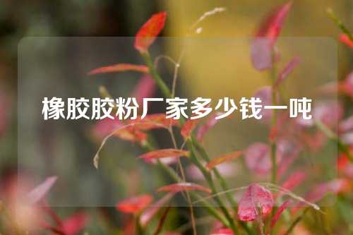 橡胶胶粉厂家多少钱一吨