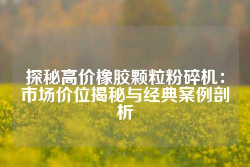 探秘高价橡胶颗粒粉碎机：市场价位揭秘与经典案例剖析