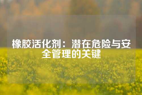 橡胶活化剂：潜在危险与安全管理的关键