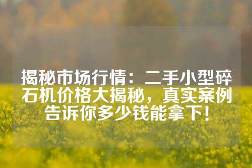 揭秘市场行情：二手小型碎石机价格大揭秘，真实案例告诉你多少钱能拿下！