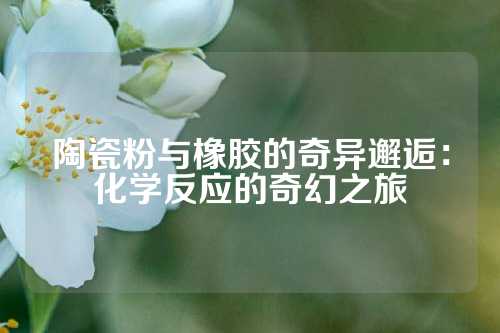 陶瓷粉与橡胶的奇异邂逅：化学反应的奇幻之旅