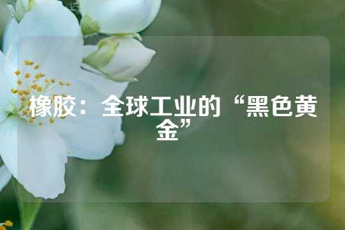 橡胶：全球工业的“黑色黄金”