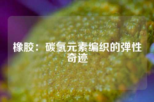 橡胶：碳氢元素编织的弹性奇迹