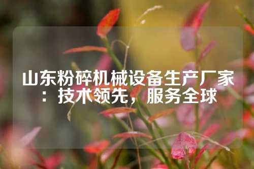 山东粉碎机械设备生产厂家：技术领先，服务全球