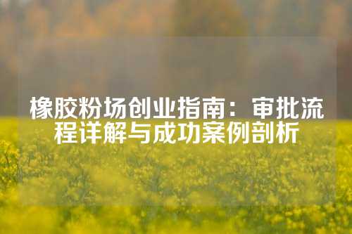 橡胶粉场创业指南：审批流程详解与成功案例剖析