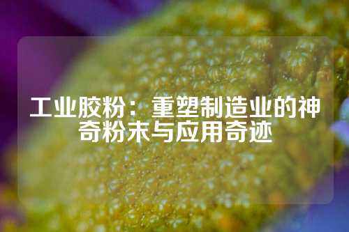 工业胶粉：重塑制造业的神奇粉末与应用奇迹