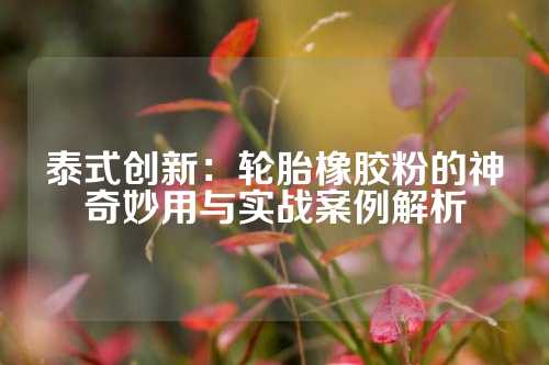 泰式创新：轮胎橡胶粉的神奇妙用与实战案例解析