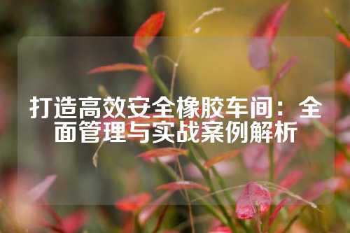 打造高效安全橡胶车间：全面管理与实战案例解析