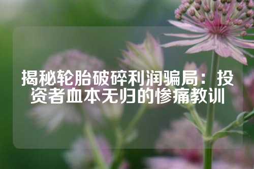 揭秘轮胎破碎利润骗局：投资者血本无归的惨痛教训
