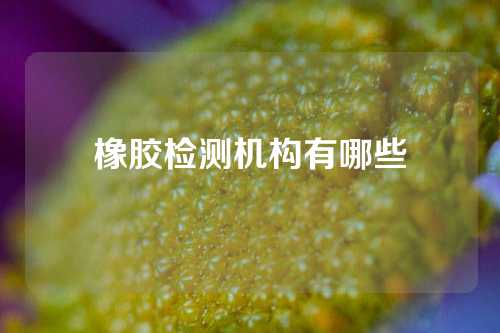 橡胶检测机构有哪些