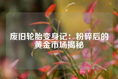 废旧轮胎变身记：粉碎后的黄金市场揭秘