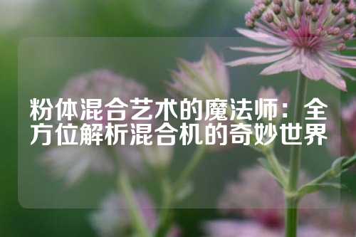 粉体混合艺术的魔法师：全方位解析混合机的奇妙世界