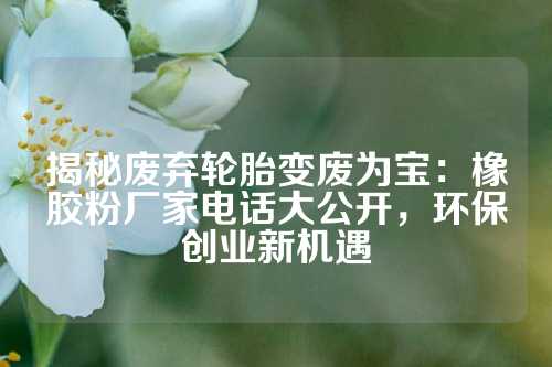 揭秘废弃轮胎变废为宝：橡胶粉厂家电话大公开，环保创业新机遇