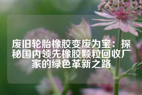 废旧轮胎橡胶变废为宝：探秘国内领先橡胶颗粒回收厂家的绿色革新之路